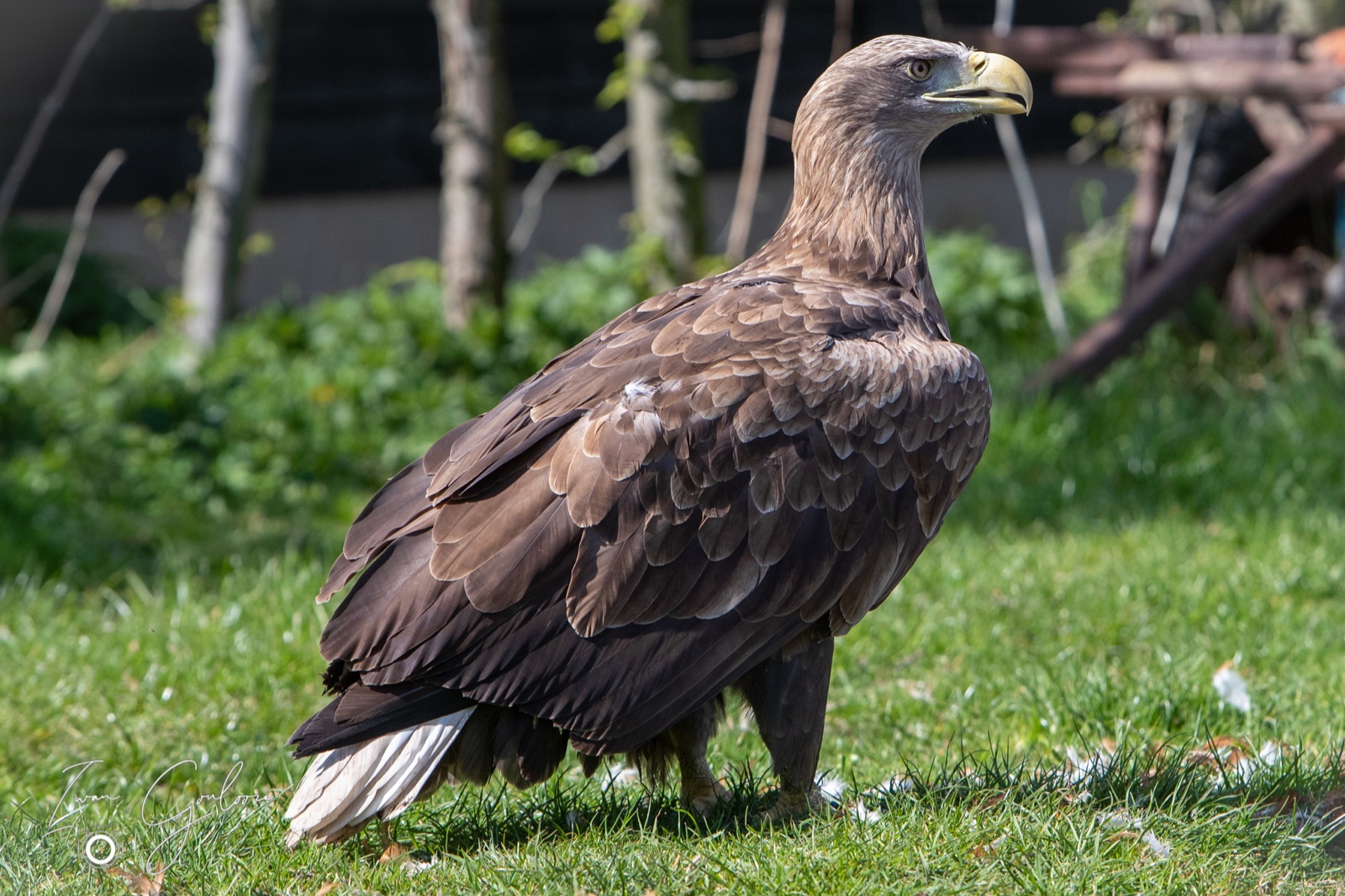 18 april 2022 120019 1DX40149